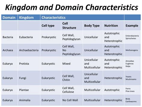 Domain And Kingdom Chart