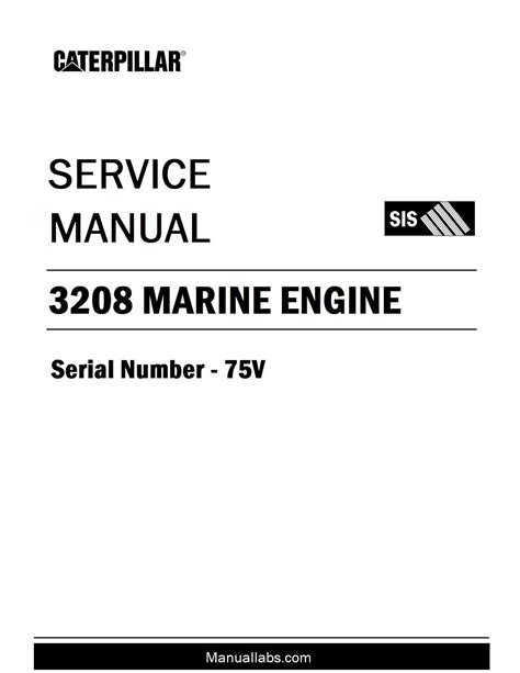 Download Marine 290 Engine Service Manual