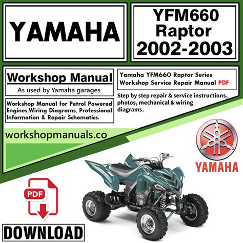 Download Service Repair Manual Yamaha Raptor Yfm660 2003