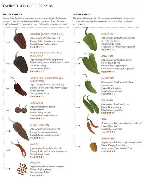 Dried Chili Chart