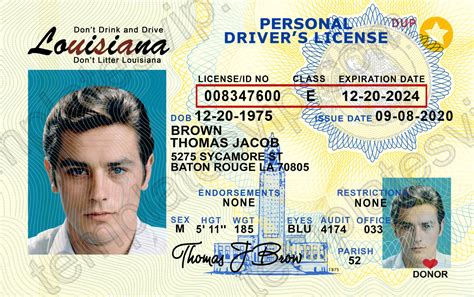 Drivers License Template Psd Free Download