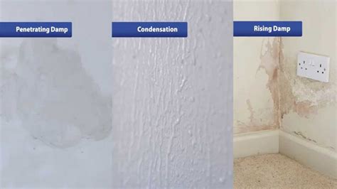 Drynice: A Revolutionary Solution for Your Damp Troubles