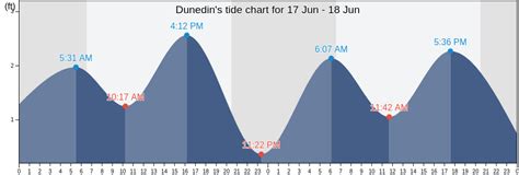 Dunedin Tide Chart