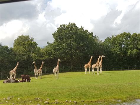 Dyrepark en Danmarks perler