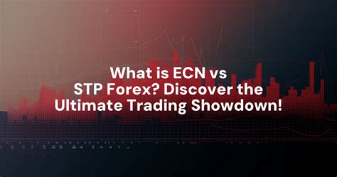 ECN Malta T10: The Ultimate Guide to the Fastest Growing Forex Market