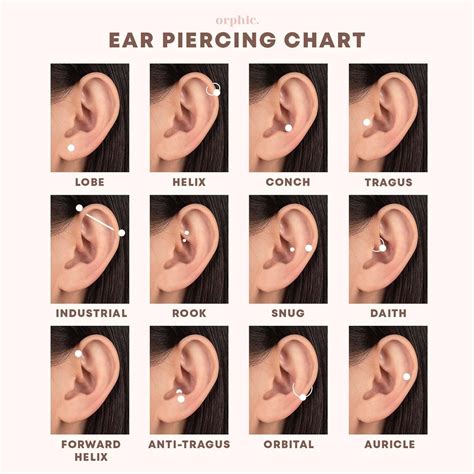 Ear Pericing Chart