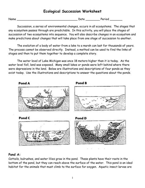 Ecological Succession Worksheet 48d44a855950920c24fef6e3b2ca4532 Preylang Com