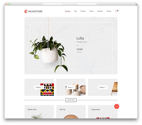Ecommerce Wordpress Templates