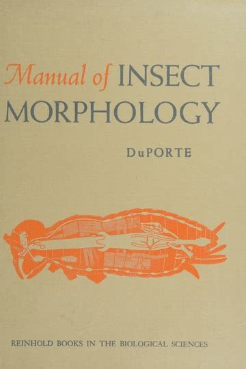 Eickworts Manual Of Insect Morphology