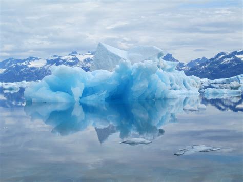 El fascinante mundo de los hielos: Una oda a la refrigeración refrescante