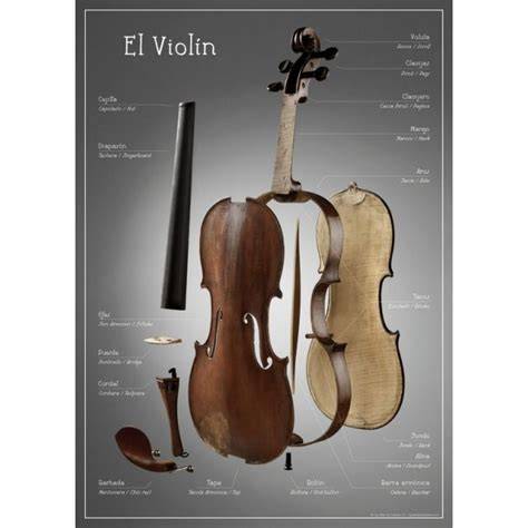 El violin