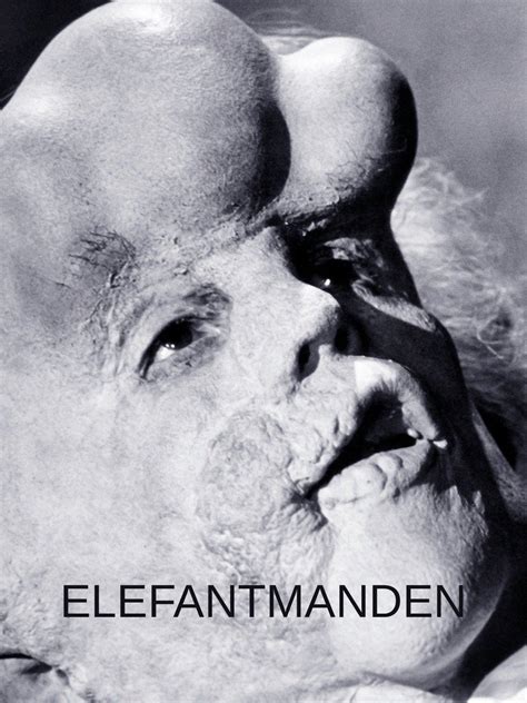 Elefantmanden