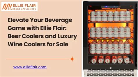 Elevate Your Beverage Game: Revolutionize Your Kitchen with an Ice Dispenser Machine