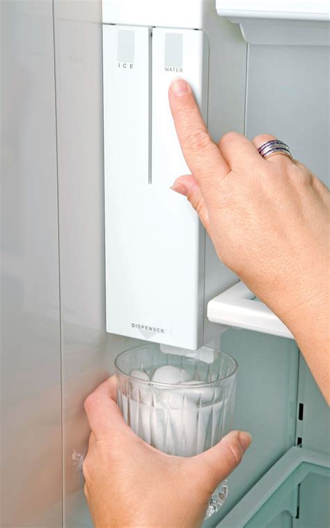 Elevate Your Hydration and Indulge in Culinary Delights with a Water en Ijsdispenser