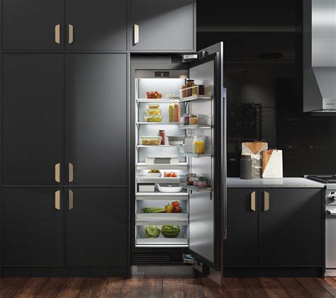 Elevate Your Kitchen Oasis with the Symphony of Integrated Ice: A Journey of Refreshment and Joy