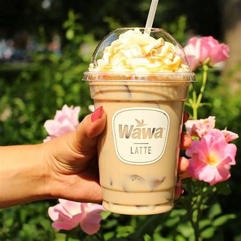 Elevate Your Mornings with Wawas Iced Coffee Revolution: Your Daily Dose of Inspiration