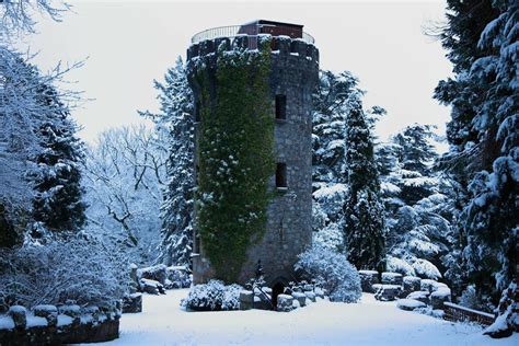 Elevate Your Winter Festivities with Snow Machines Ireland: Experience the Magic of a Snowy Wonderland