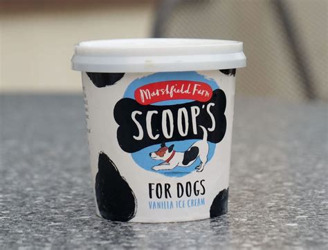 Embark on a Sweet Journey with Brewsters Dog Ice Cream