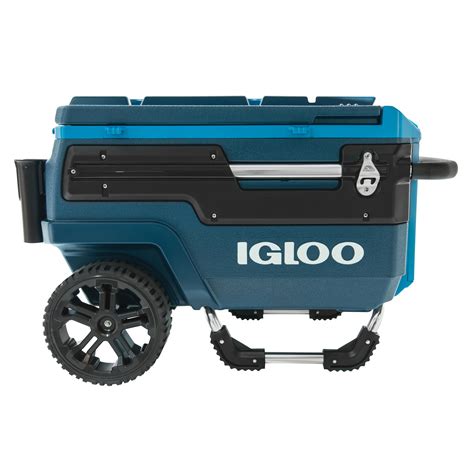 Embark on an Icy Expedition with the Igloo Ice Machine: A Journey to the Heart of Refreshment