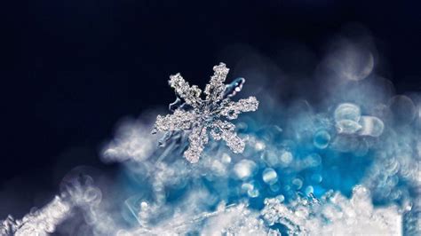 Embrace the Winter Wonderland: Unleash the Magic of Snow Machines