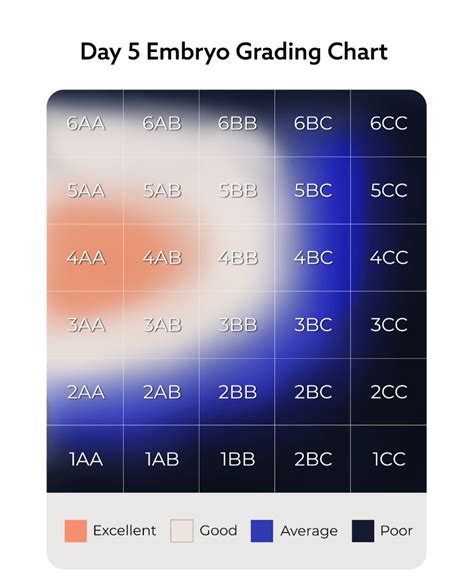 Embryo Grading Chart Day 5