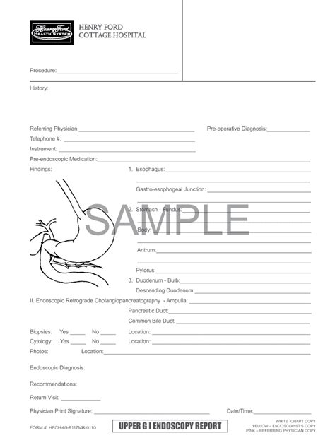 Endoscopy Report Template