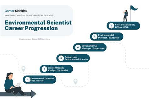 Environmental Scientist Career Path