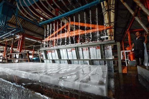 Es Menyegarkan: Mengintip Rahasia Pabrik Pembuat Es