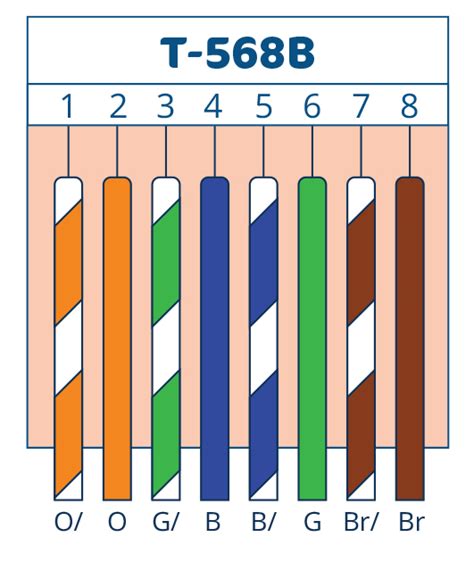 Ethernet Cable Wiring Diagram 568b