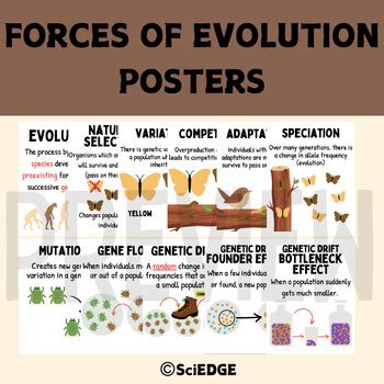 Evolution Independent