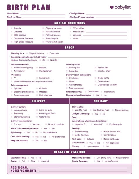 Example Birth Plan Templates