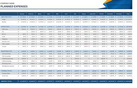 Excel Business Expenses Template