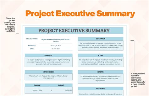 Executive Summary Template For Project