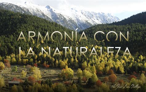 Experiencia la armonía con la naturaleza: Natur Inredning