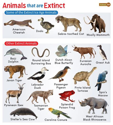 Extinct Animals Chart