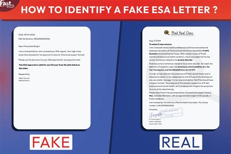 Fake Esa Letter Template