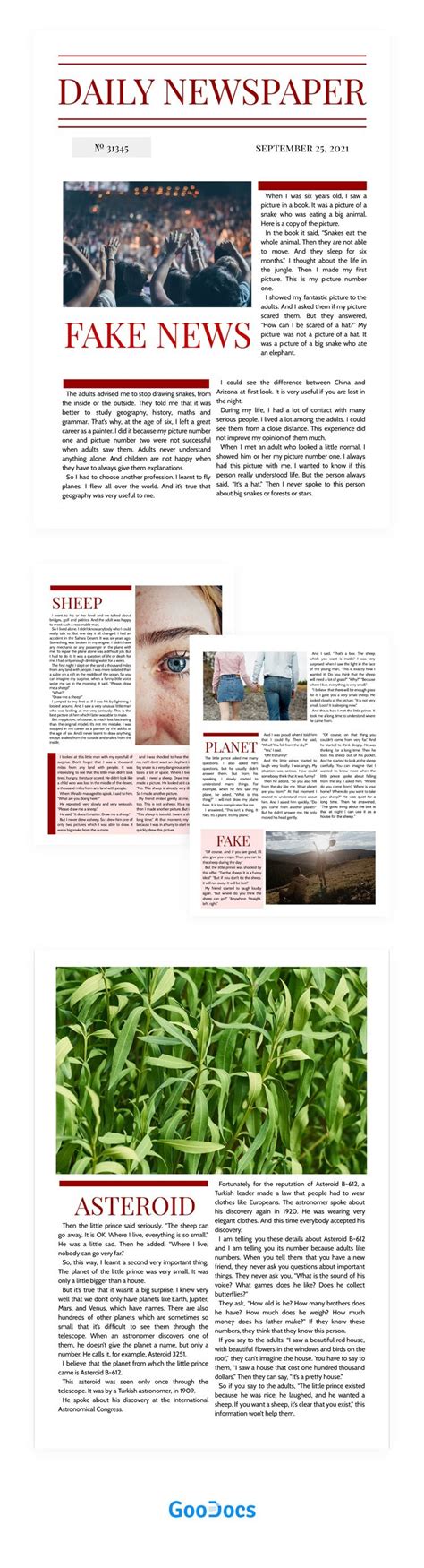 Fake Newspaper Template