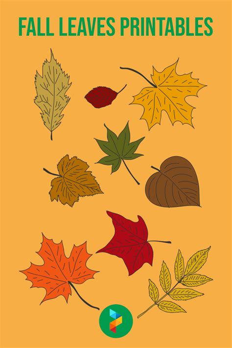 Fall Leaves Images Printable