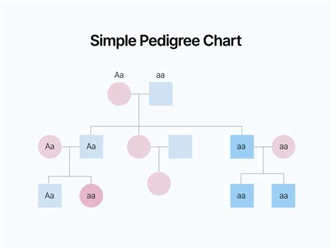 Family Pedigree Chart Template