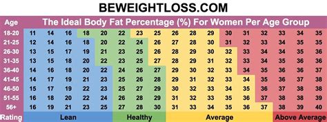 Fat Percentage Chart For Women