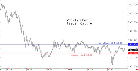 Feeder Cattle Futures Chart
