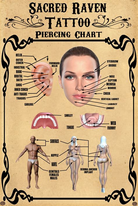 Female Body Piercings Chart
