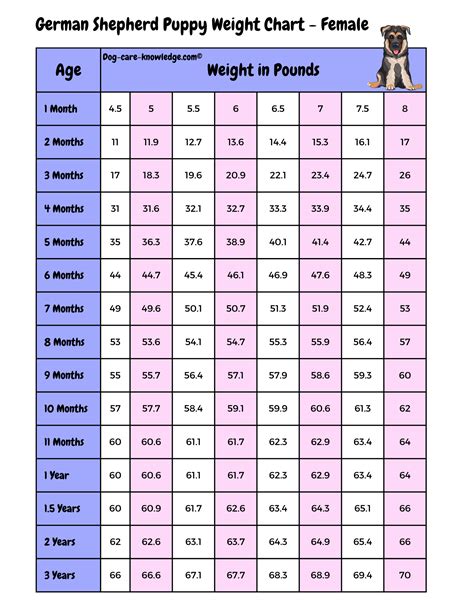 Female German Shepherd Weight Chart