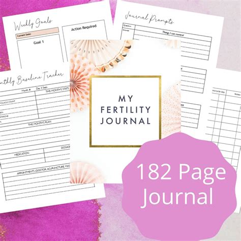 Fertility Journal book cover