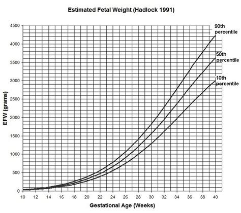 Fetus Weight Percentile Chart