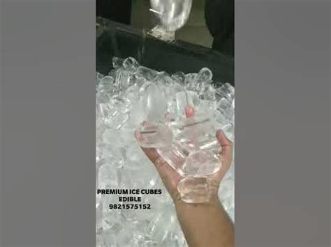 Finding the Perfect Ice Cube Supplier in Kuching: An In-Depth Guide