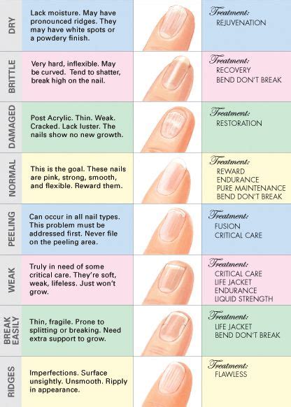 Fingernail Types Chart