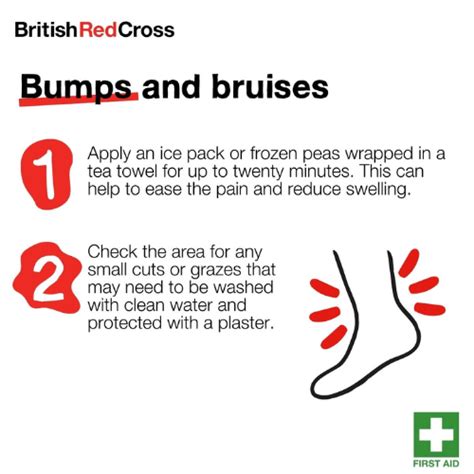 First Aid For Bumps And Bruises Printable