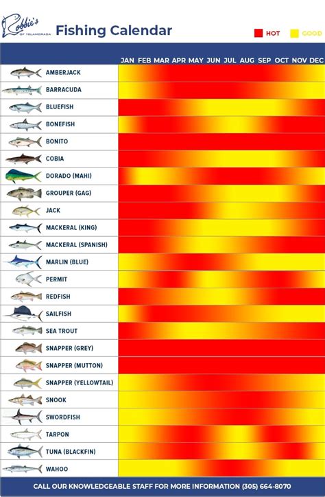 Fishing Chart For Today