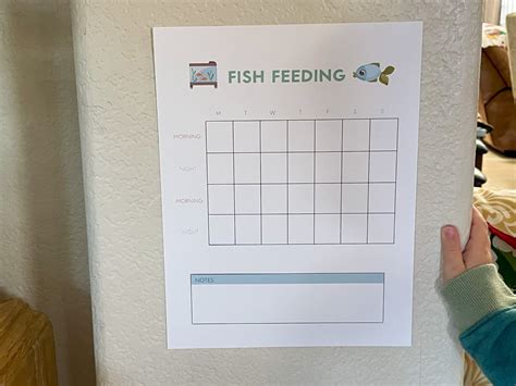Fishing Feeding Chart